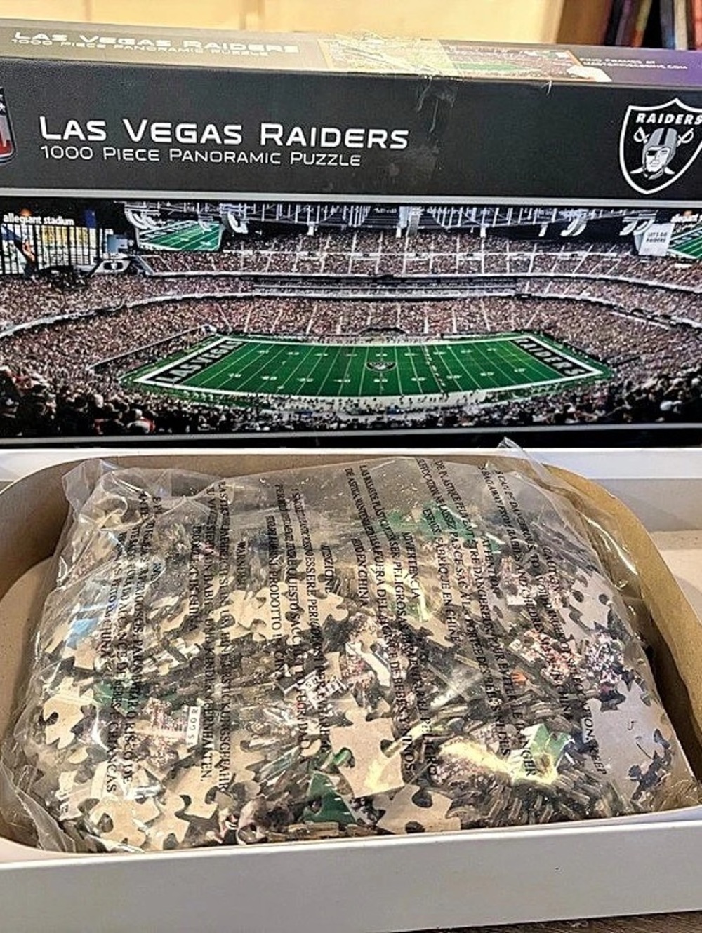 NFL Las Vegas Raiders 1000 Piece Panoramic Puzzle 1000 Piece Panoramic Puzzle